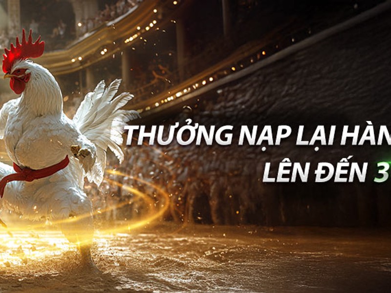 Giải thích về ưu đãi hoàn trả hàng ngày của 181bet